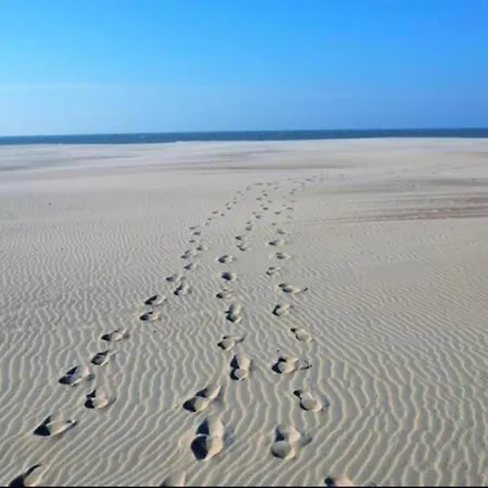 In Near The Beach, Cleaning Included Lägenhet Nieuwpoort